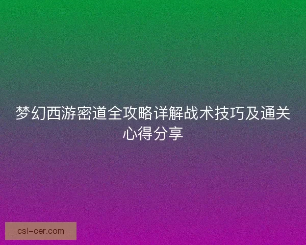 梦幻西游密道全攻略详解战术技巧及通关心得分享