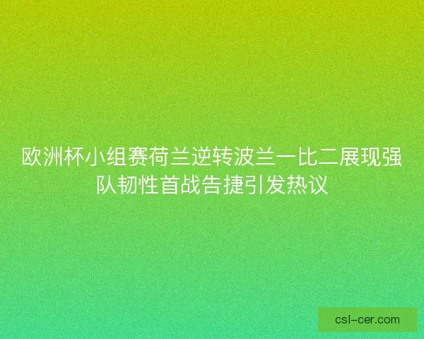 欧洲杯小组赛荷兰逆转波兰一比二展现强队韧性首战告捷引发热议