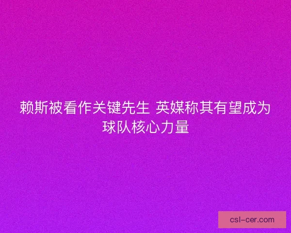 赖斯被看作关键先生 英媒称其有望成为球队核心力量